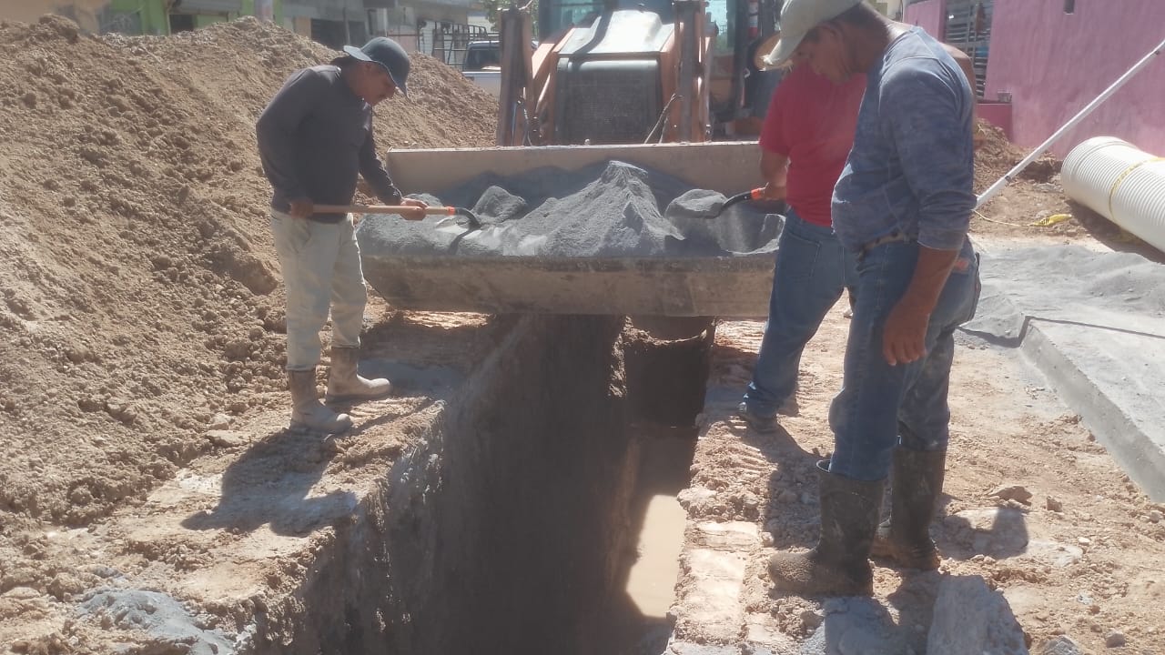 Imagen de la obra